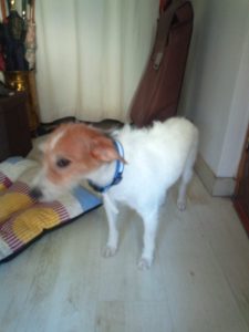 IMG-20190717-WA0119