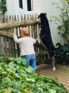 image001